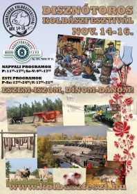 koncert-20141106-12817-disznotoros_kfeszt_plakat