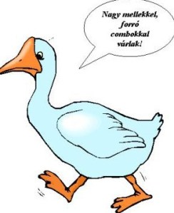 Awaiting ya with big boops and hot thighs