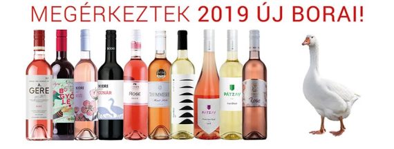 VERITAS UJBOR 2019. NOV. 4.