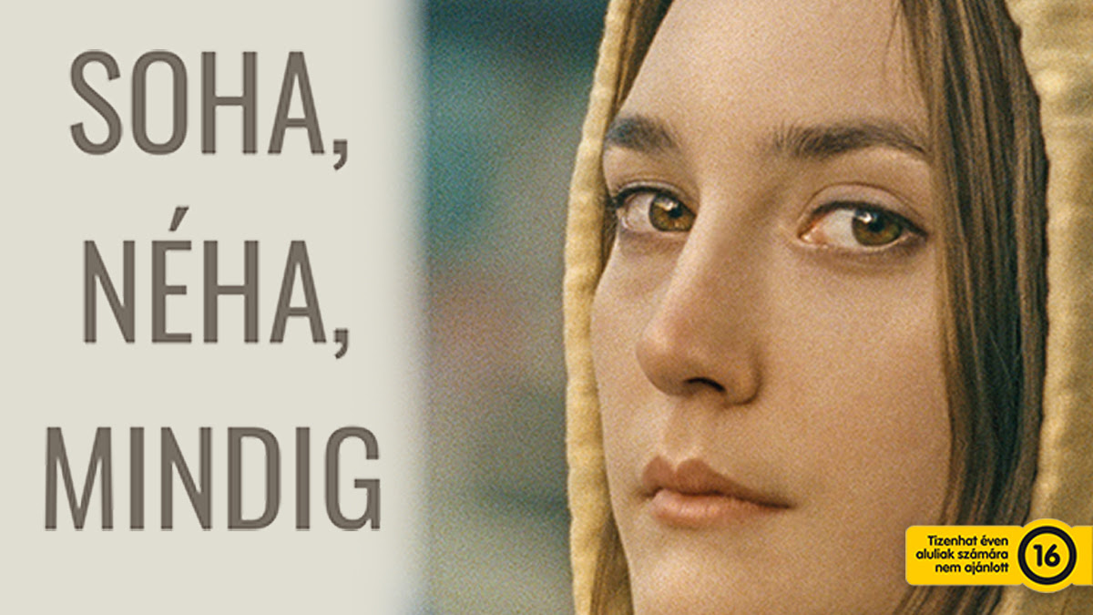 Never Rarely Sometimes Always (2)