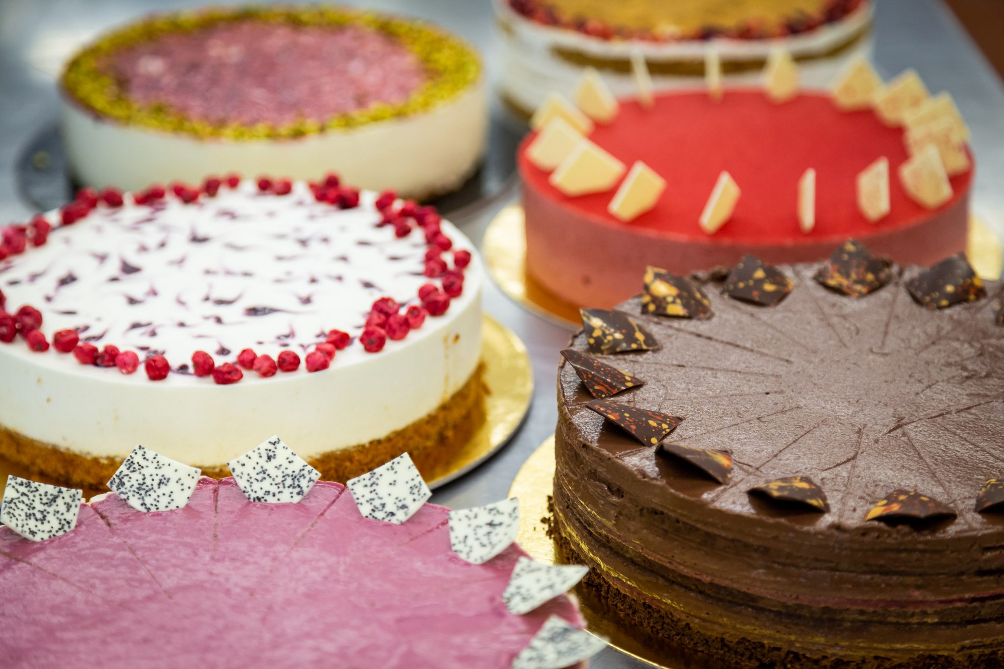 IMG_7050_edit_3000-scaled