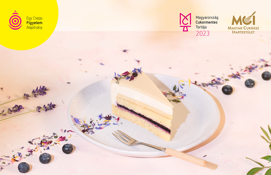 20230801_CMOT_2023_slide_2