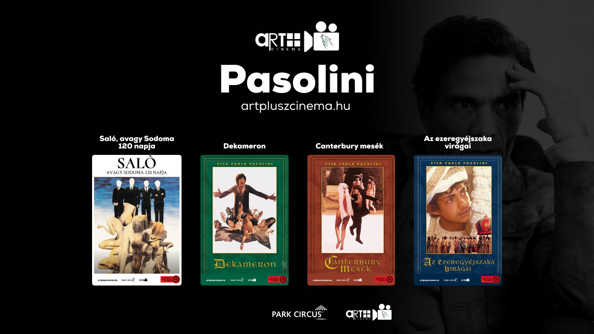 pasolini art cinema